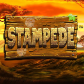 Stampede logo