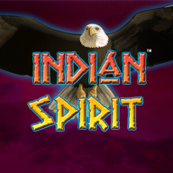 Indian Spirit logo