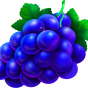 Grape billede