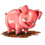 Pig billede