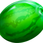 Watermelon billede