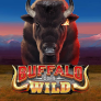 Buffalo Goes Wild logo