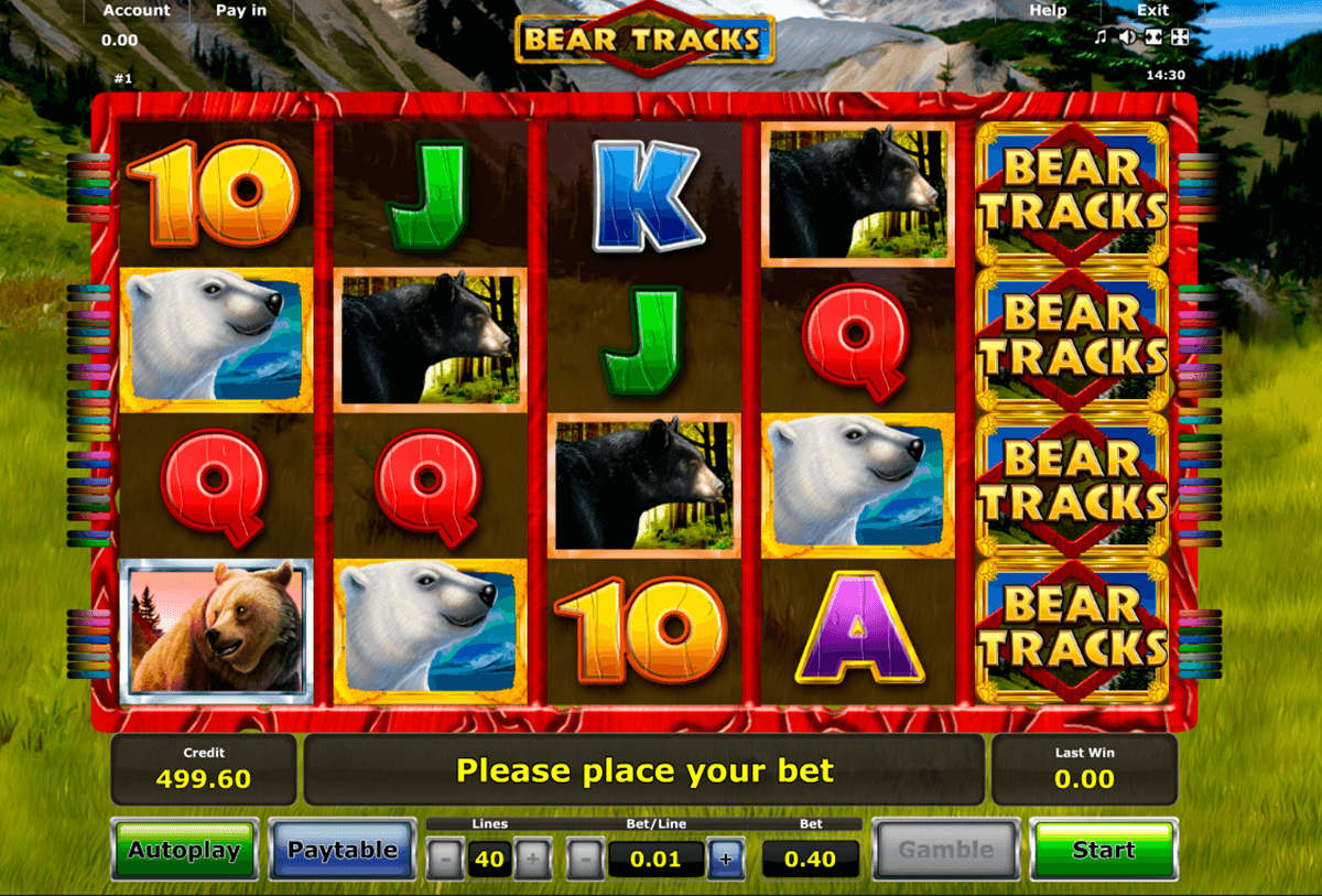 bear tracks novomatic casinospil online 