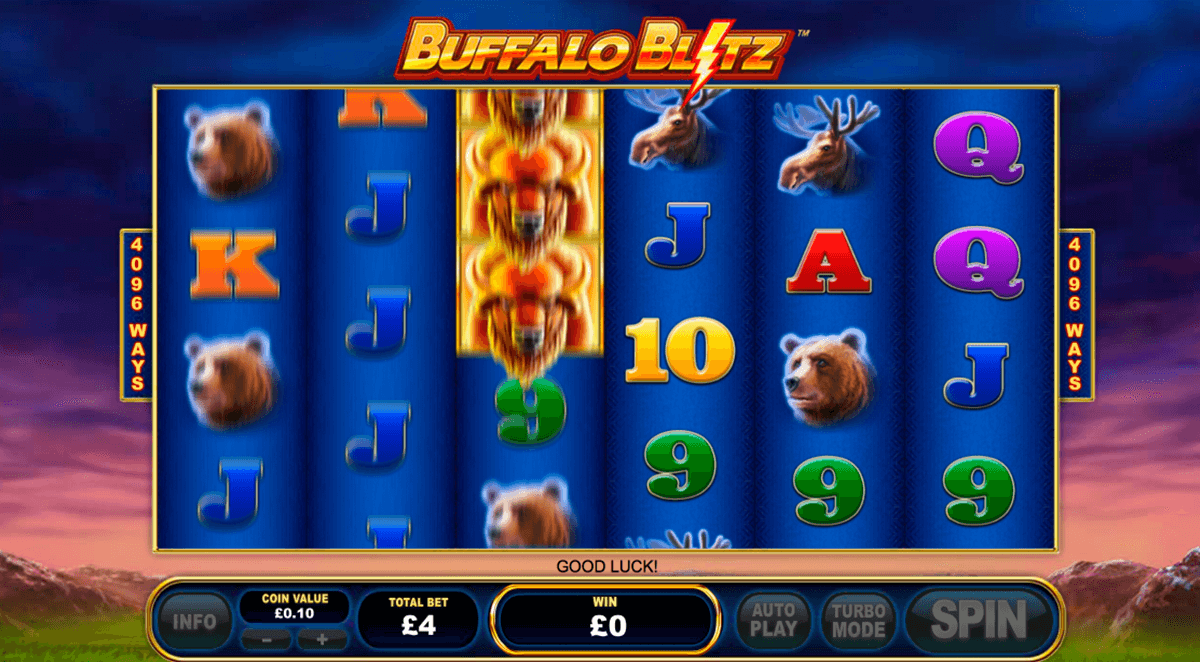 buffalo blitz playtech casinospil online 