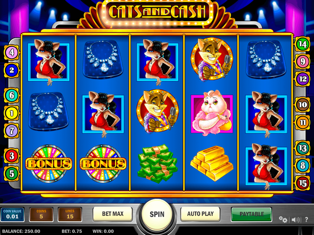 cats and cash playn go casinospil online 