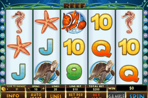 dolphin reef playtech casinospil online 