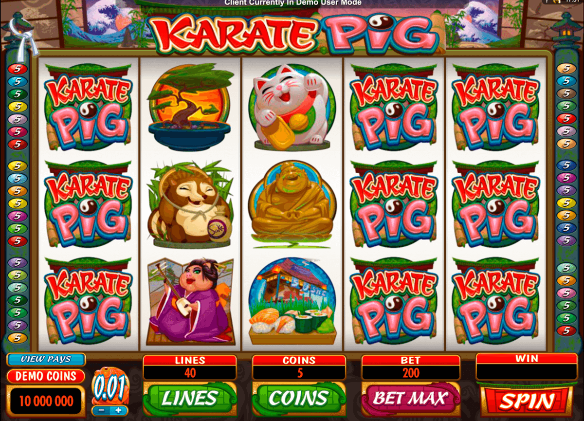 karate pig microgaming casinospil online 