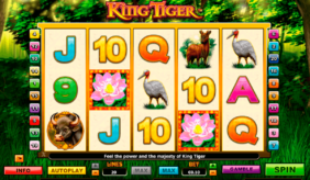 king tiger nextgen gaming casinospil online 