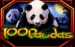 logo 100 pandas igt 