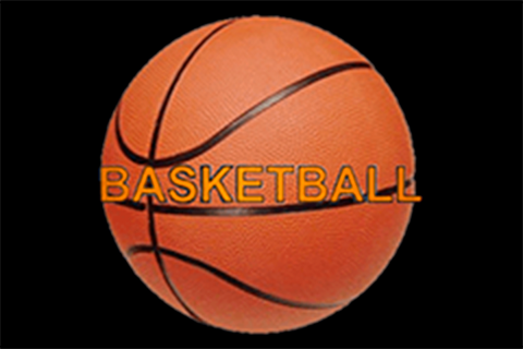logo basketball novomatic 1 