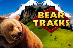 logo bear tracks novomatic spillemaskine 