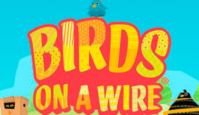 logo birds on a wire thunderkick 