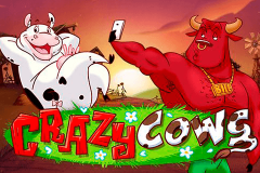 logo crazy cows playn go spillemaskine 