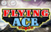 logo flying ace microgaming 