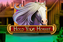 logo hold your horses novomatic spillemaskine 