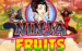 logo ninja fruits playn go 