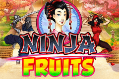 logo ninja fruits playn go spillemaskine 