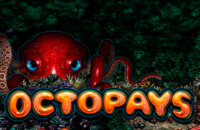 logo octopays microgaming 