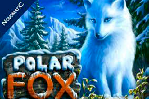 logo polar fox novomatic 