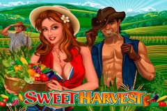 logo sweet harvest microgaming spillemaskine 