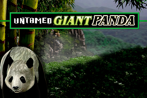 logo untamed giant panda microgaming 1 