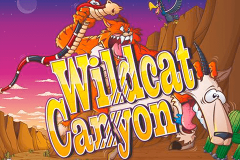 logo wild cat canyon nextgen gaming spillemaskine 