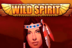 logo wild spirit playtech spillemaskine