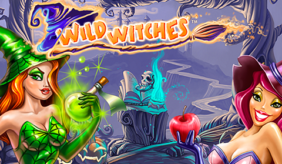 logo wild witches netent 1 