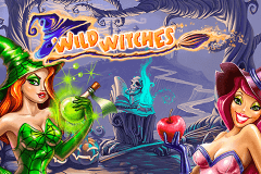 logo wild witches netent spillemaskine 