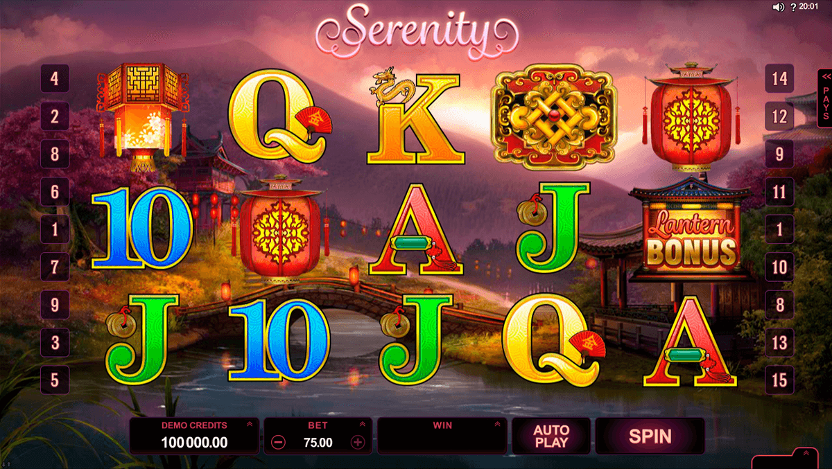 lucky twins microgaming casinospil online 