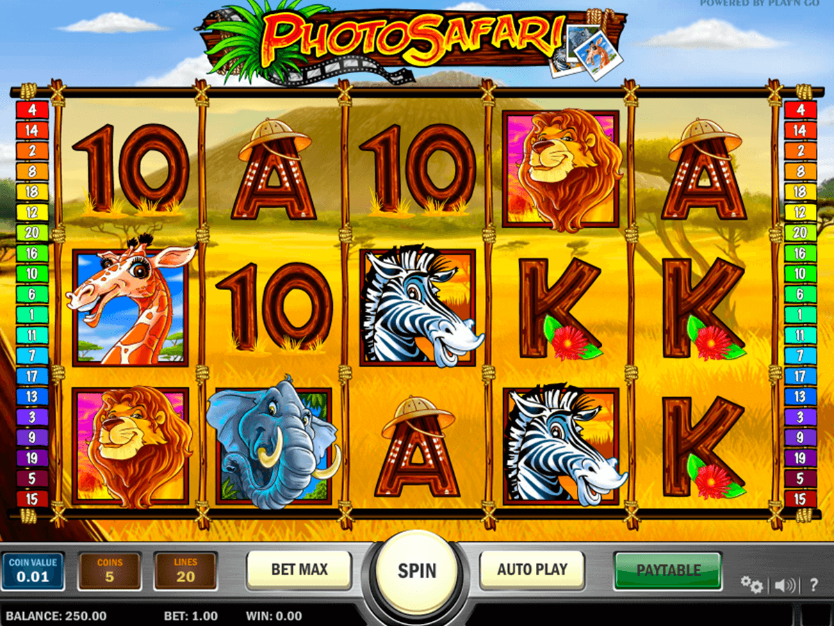 photo safari playn go casinospil online 