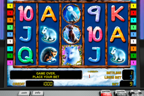 polar fox novomatic casinospil online 