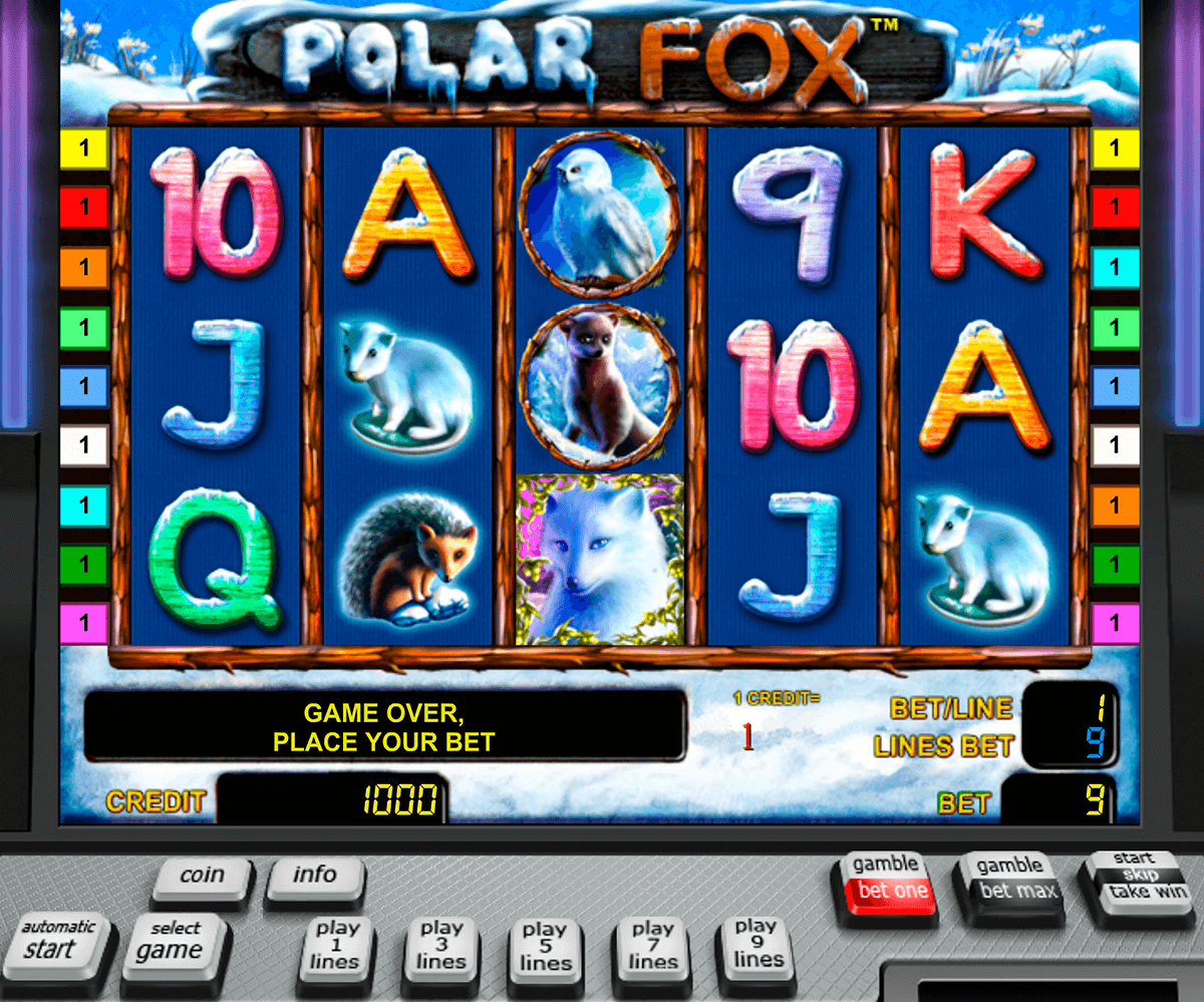 polar fox novomatic casinospil online 