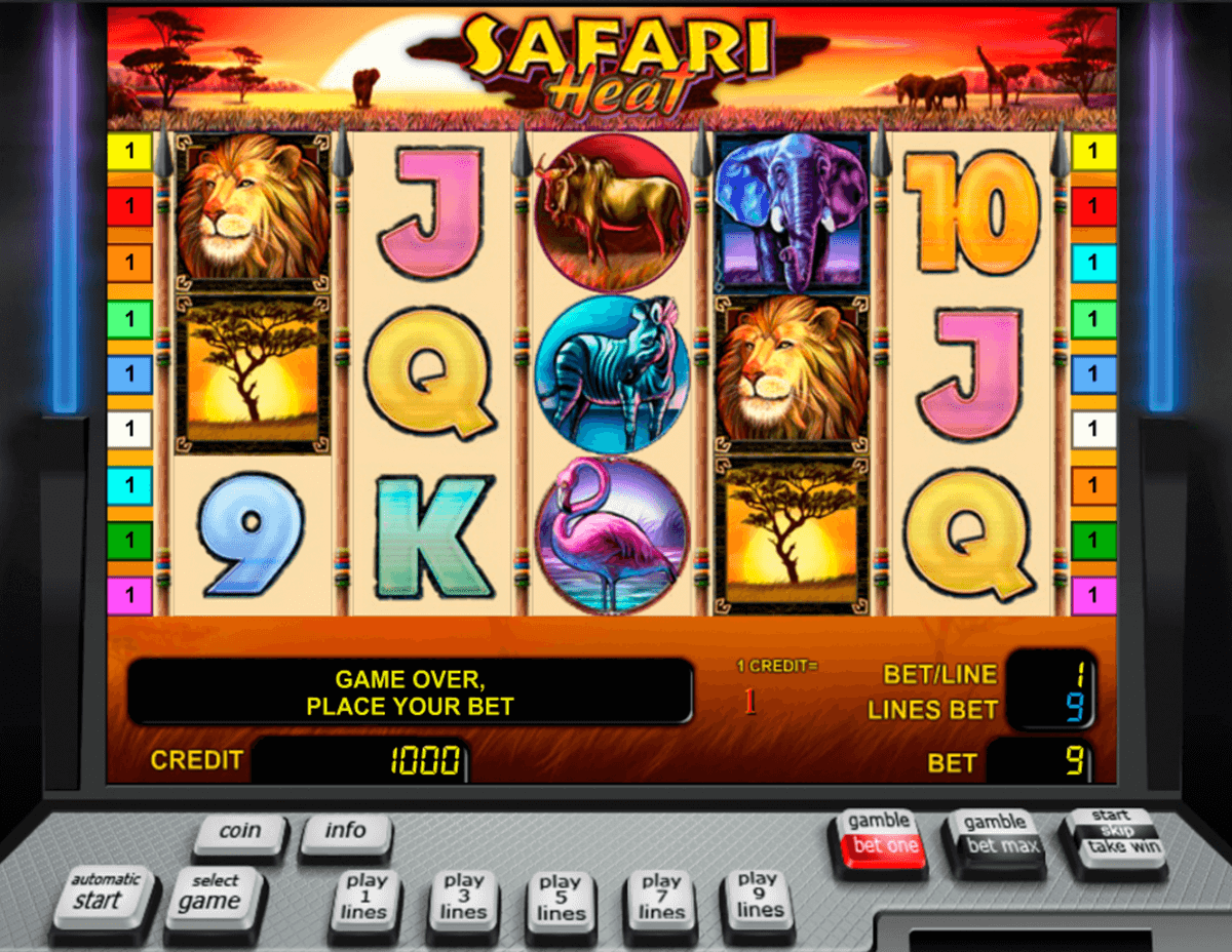 safari heat novomatic casinospil online 