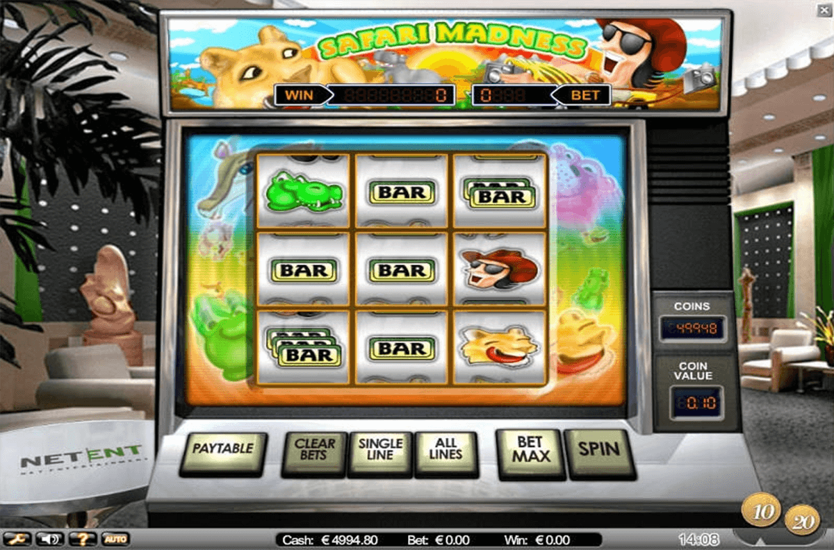 safari madness netent casinospil online 