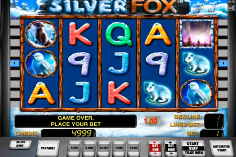 silver fox novomatic casinospil online 