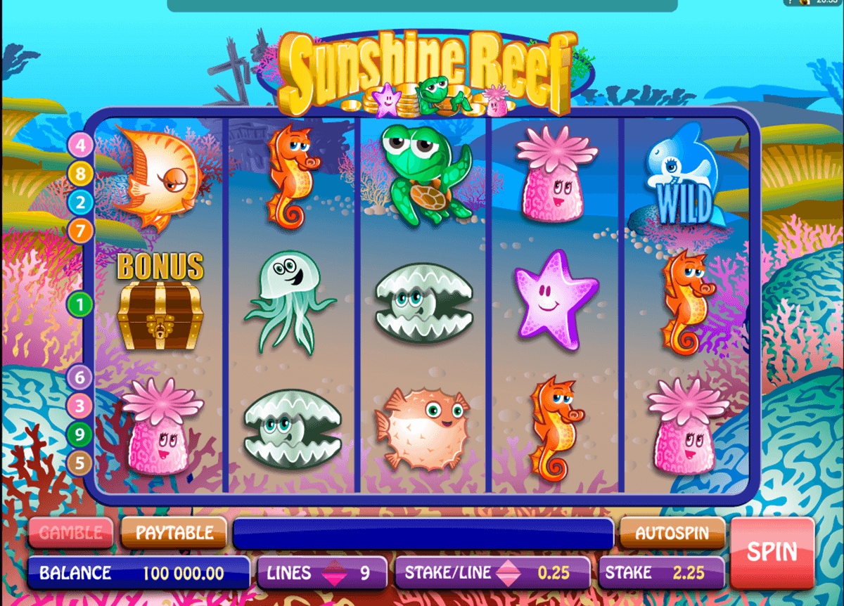 sunshine reef microgaming casinospil online 