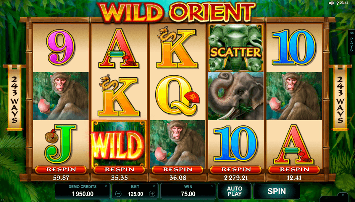 wild orient microgaming casinospil online 