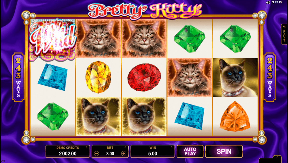 win sum dim sum microgaming casinospil online 