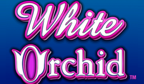 logo white orchid igt spillemaskine 